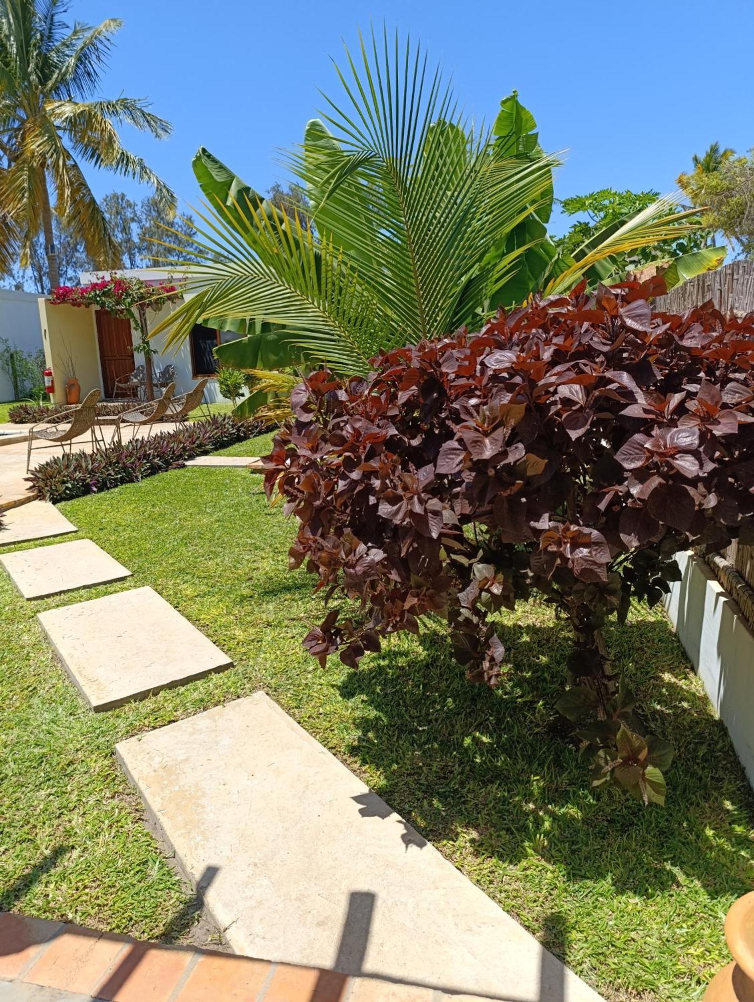 Telvina Beach Lodge Vilankulo Eksteriør billede